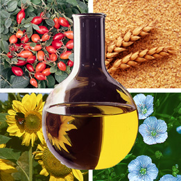 The Skinny On: Vegetable Oil